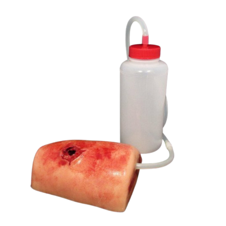 Trueclot Wound Packing Task Trainer Gunshot