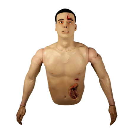 APL - Abdominal Eviseration Simulator