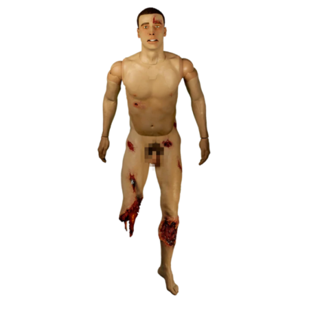 Whole Body HEMO - Pulses / Breathing